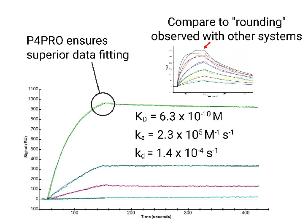 P4PRO kinetics fitting — kon, koff, KD results